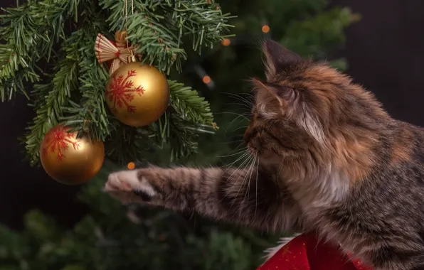 Cat, balls, paw, tree, Christmas decorations, tabby cat