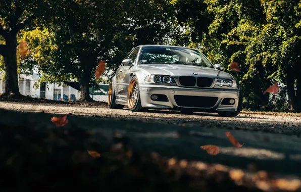 Picture BMW, E46, Leaves, M3