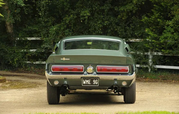 Picture Ford Mustang, 1967, Muscle Car, Rear view, Shelby GT350