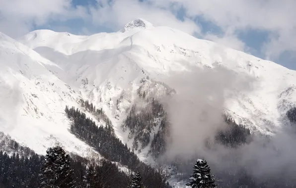 Winter, mountains, fog, the Caucasus, The Caucasian ridge, Anastasia Chavykina