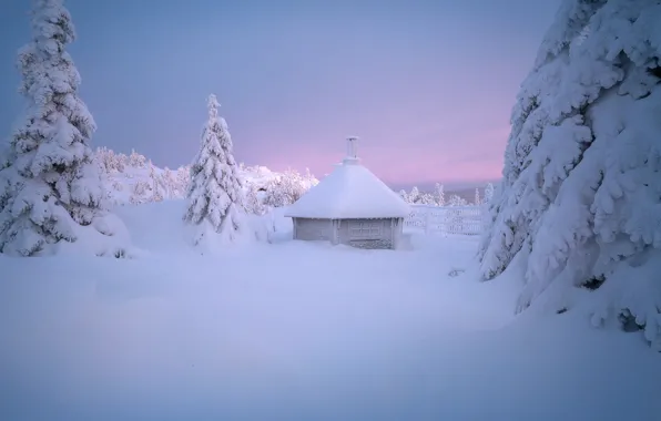 Picture winter, snow, trees, hut, ate, the snow, hut, Andrey Bazanov
