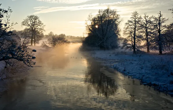 Cold, winter, snow, trees, fog, river
