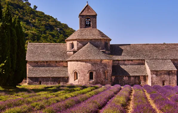 Field, summer, the sky, flowers, nature, castle, France, architecture