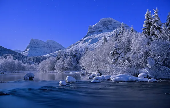 Picture winter, forest, the sky, stars, snow, trees, landscape, mountains