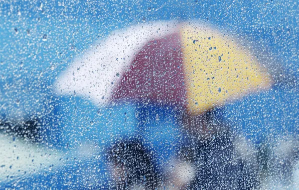 Glass, rain, umbrella