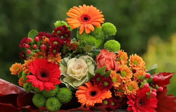 Wallpaper green, orange, red, flowers, autumn, bouquet, bright, chrysanthemum