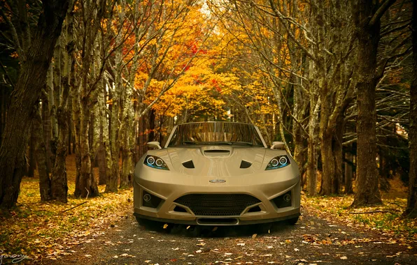 Picture autumn, concept, ford