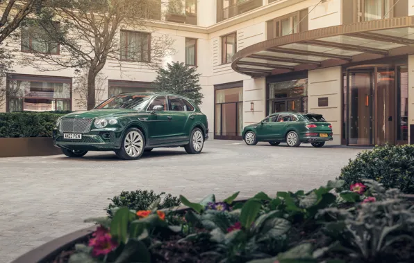 Picture Bentley, Bentley Bentayga Hybrid Peninsula London, Bentayga