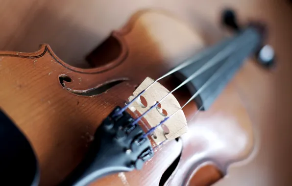 Picture macro, photo, Wallpaper, violin, strings, case, tool, picture