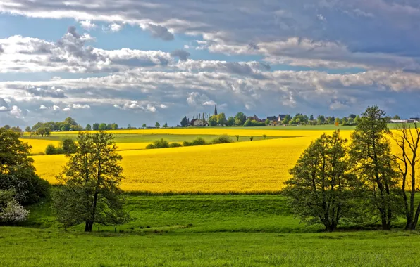 Field, the sky, grass, clouds, trees, Germany, houses, Sunny
