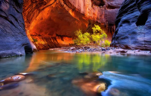 Trees, reflection, rocks, color