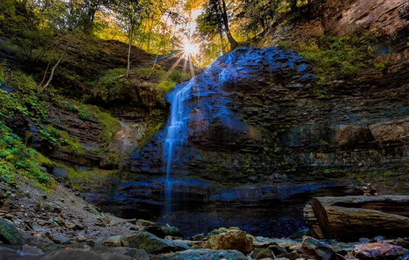 The sun, rays, trees, rock, stones, waterfall, moss, Canada