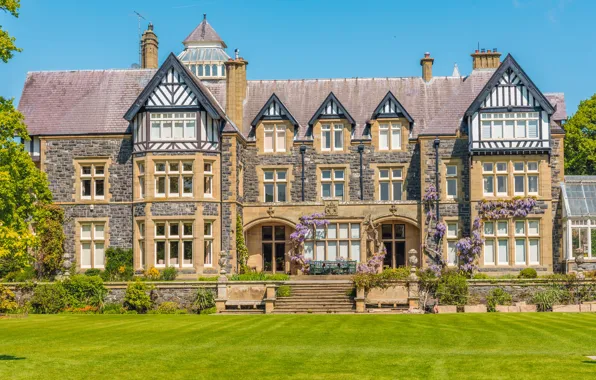 Greens, the sky, grass, the sun, trees, design, lawn, home