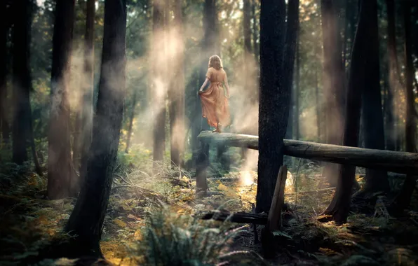 Forest, girl, fog, mood