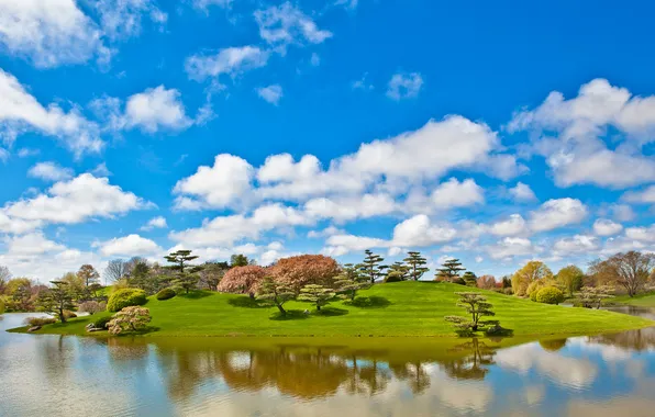 Picture the sky, grass, clouds, trees, lake, pond, Park