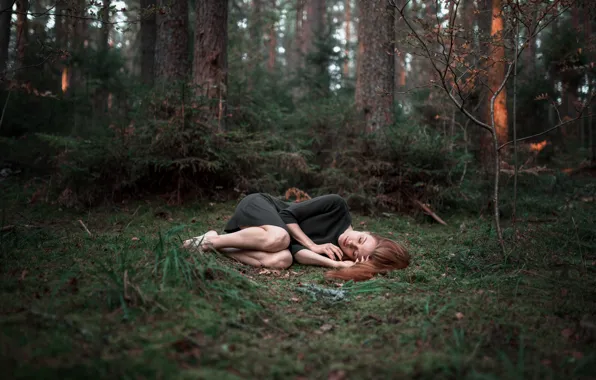 Picture forest, girl, sleep, Alexander Kurennoy