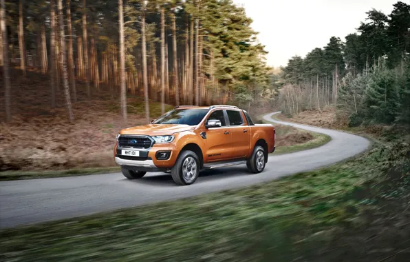 Road, machine, forest, trees, movement, Ford, turn, pickup