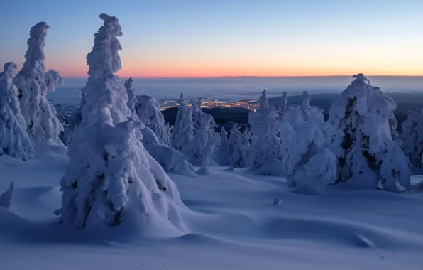 Winter, snow, trees, dawn, morning, Germany, panorama, the snow
