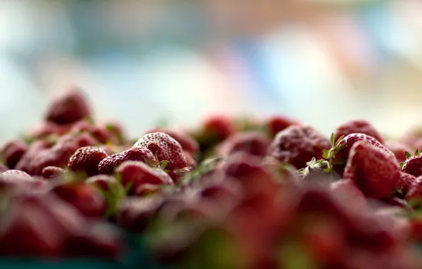 Macro, berries, strawberry