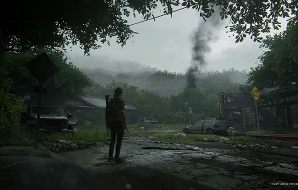 Forest, machine, smoke, village, art, Ellie, The Last of Us Part II