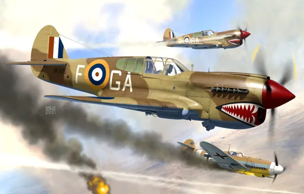 RAF, Kittyhawk, P-40 Warhawk, combat aircraft