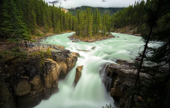 Forest, trees, river, rocks, waterfall, Canada, Albert, Alberta