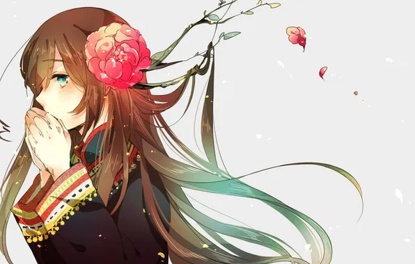 Look, girl, flowers, petals, brown hair, Taiwan, Axis Powers: Hetalia, Kamitsuki