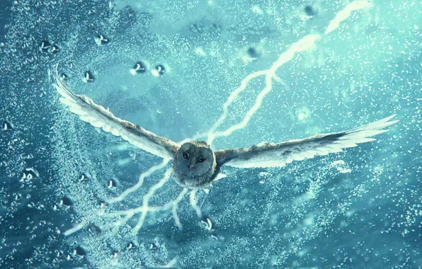 The storm, owl, lightning, cartoon, Legend Of The Guardians