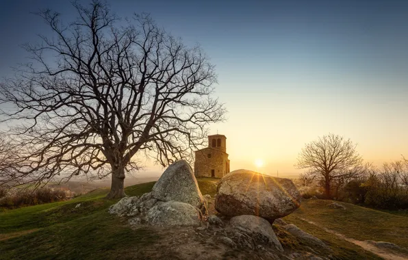 Picture trees, dawn, France, morning, France, Saint-Laurent-d Anja's