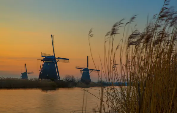The evening, Netherlands, windmill, Kinderdijk