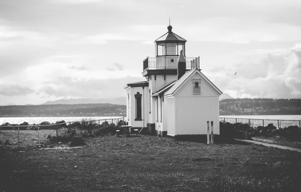 Sea, ocean, lighthouse, seagull
