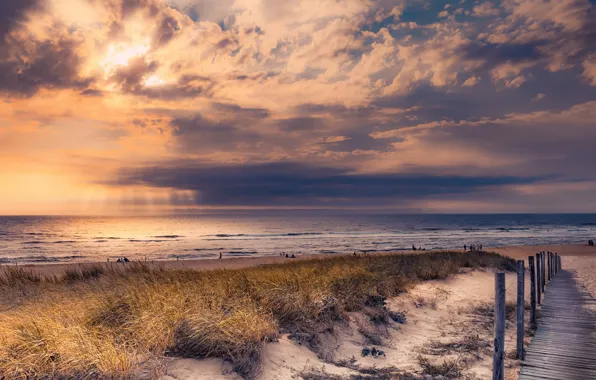 Picture sea, beach, sunset, shore