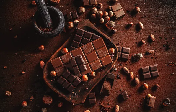 Board, chocolate, nuts, a lot, pistil, hazelnuts, mortar, cuts
