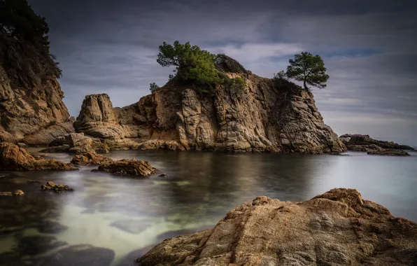Sea, the sky, clouds, trees, stones, overcast, rocks, shore