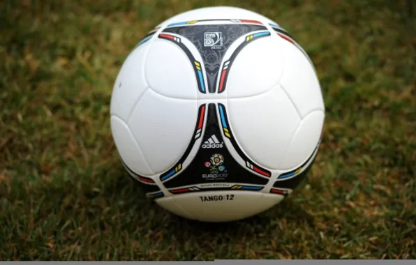 Picture grass, football, the ball, icon, logo, logo, emblem, Adidas