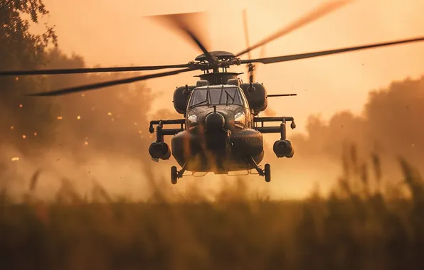 Grass, Helicopter, Digital art, AI art, The Art of Artificial Intelligence, Neural network