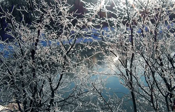 The sun, rays, river, background, Wallpaper, Winter, texture, Siberia