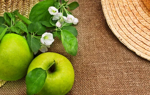 Fruit, leaves, twigs, Apple blossoms, green apples