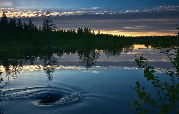 Forest, the sky, clouds, trees, river, Water, funnel