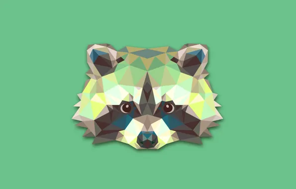 Picture abstraction, minimalism, raccoon, raccoon