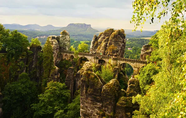 Trees, bridge, Park, stones, rocks, height, Germany, Saxon Switzerland National Park