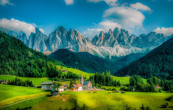 Field, forest, mountains, Church, houses