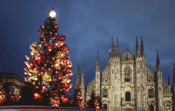 Night, the city, holiday, Christmas, Italy, Cathedral, tree, architecture