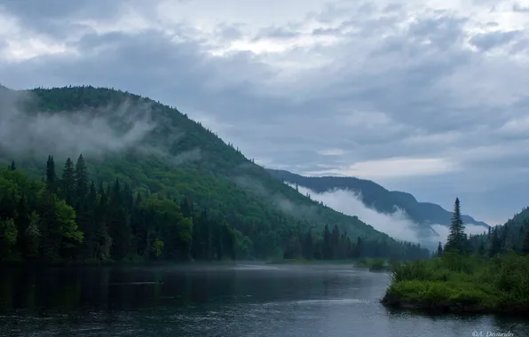 Forest, clouds, trees, mountains, fog, river, Canada, Jacques-Cartier National Park