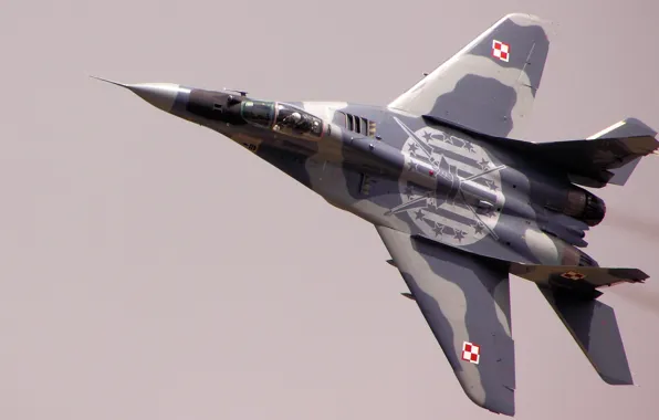 Picture weapons, the plane, Mig 29