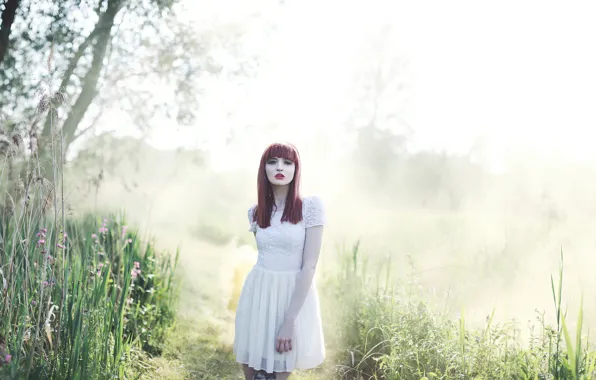Picture nature, redhead, Morning mist