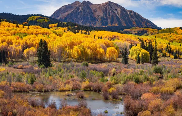 Autumn, forest, mountains, shore, the slopes, view, swamp, pond