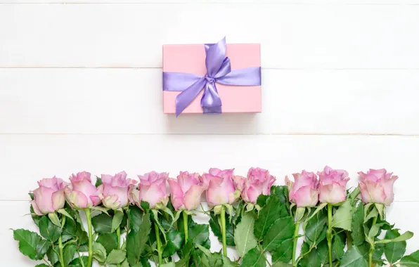 Picture white, background, gift, roses, tape