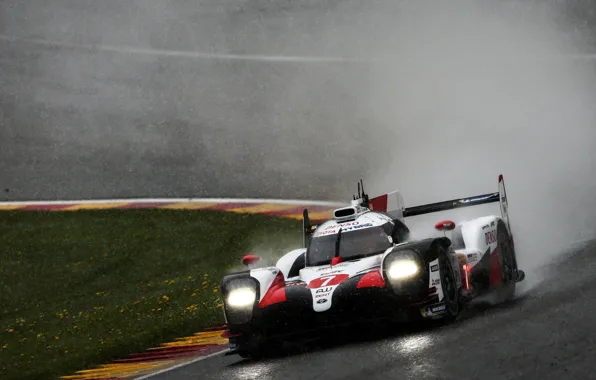 Picture turn, Toyota, WEC, 2019, TS050 Hybrid