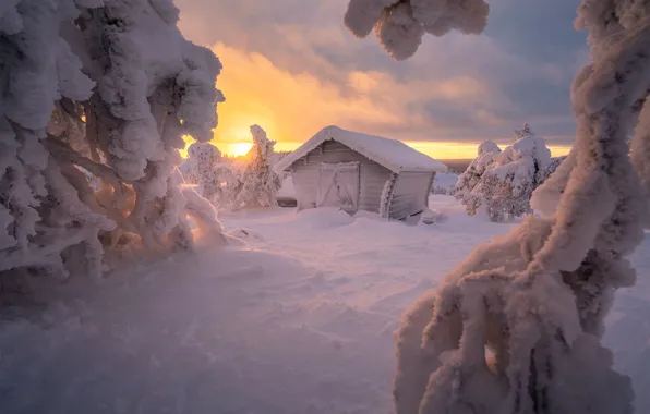 Picture winter, snow, sunset, hut, the snow, hut, Russia, trees